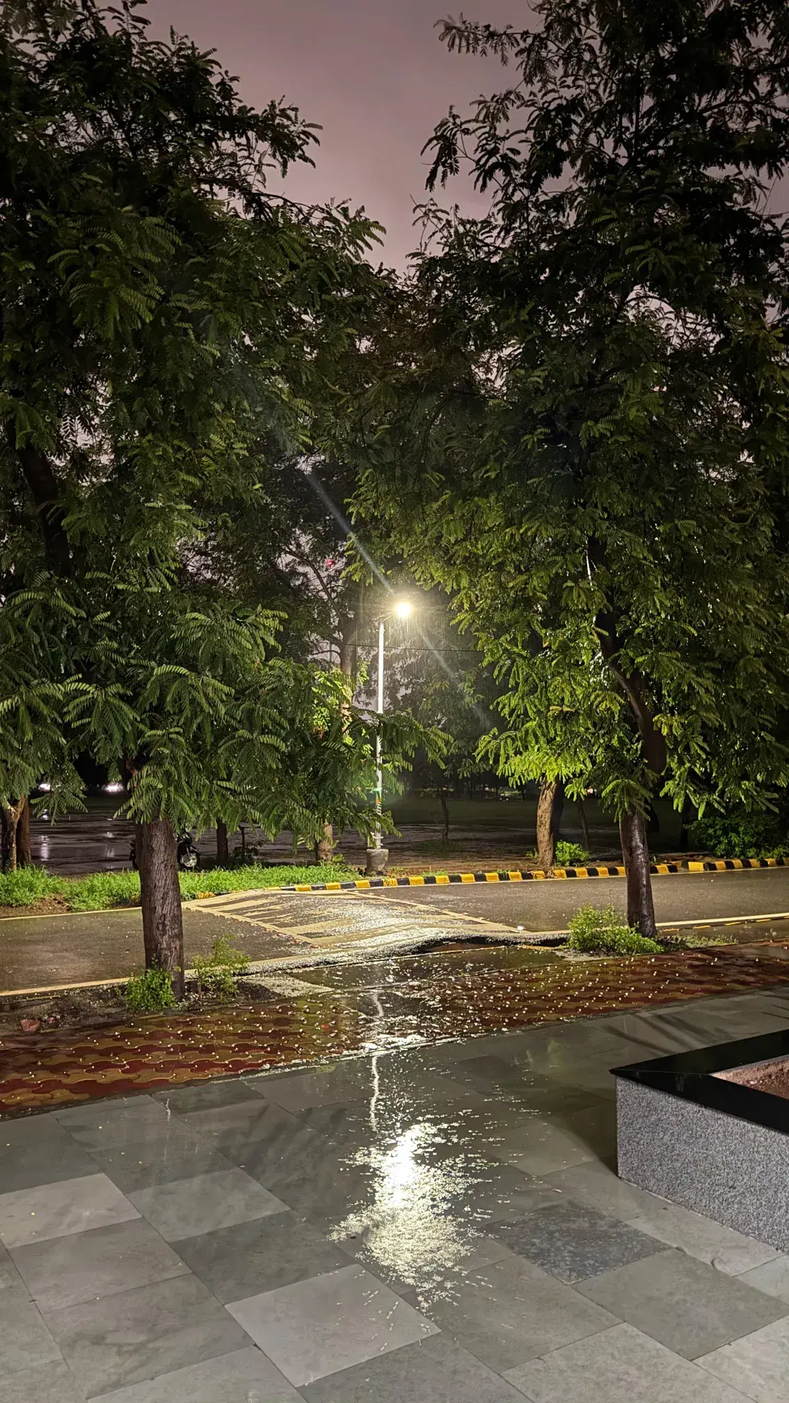 NSUT West Campus Campus photo 6